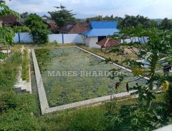 Sangat di sayangkan..!!Mangkrak tak terurus kolam renang yg telah menelan biaya hampir 1m