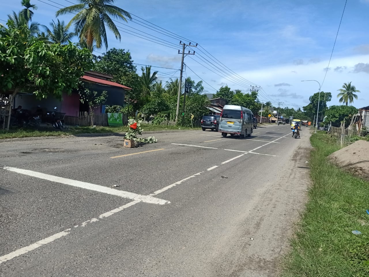 TIDAK KUNJUNG DIPERBAIKI JALAN NASIONAL LINTAS ACEH TIMUR, WARGA MASYARAKAT ANTISIPASI MUSIBAH KECELAKAAN BERINISIATIF MENANAM POHON DITENGAH BADAN JALAN.