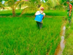 BABINSA SETIA – INGIN MAJUKAN PERTANIAN