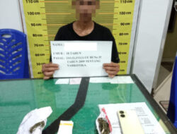 Lakukan Transaksi Narkotika Jenis Ganja,Salah Seorang Warga Lembah Masurai di Amankan Tim Macan Polres Merangin