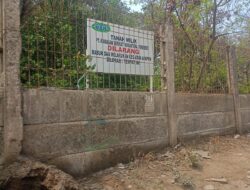 KBN Diminta Kembalikan Fungsi Jalur Hijau Untuk Penghijauan Jakarta