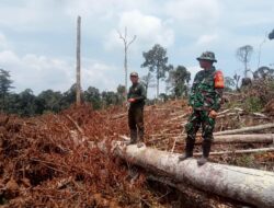 Koramil 01/Batang Asai,Kodim 0420/Sarko laksanakan Patroli Karhutlah Di Desa Binaan