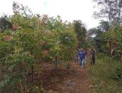 Babinsa dari Koramil 420-06/Muara Siau Serda Andi Kurniawan melaksanakan patroli pencegahan kebakaran hutan dan lahan (Karhutla)