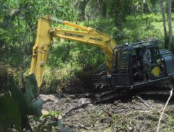 Satgas TMMD ke 122 Kodim 0420 Sarko Siapkan Lahan Pertanian Untuk Program Ketahanan Pangan Warga 