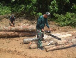 Aksi Nyata Satgas TMMD Ke-122 Kodim 0420 Sarko Siapkan Material Jembatan Darurat Dengan Potong Kayu