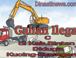 Sorotan Tajam Madia Nasional Wilayah Galang Batang, Teluk Bakau, Nikoi Galaian C Ilegal di Kab. Bintan, Dapat Berdampak Negatif Pada Pelaksanaan Program Asta Cita yang Diluncurkan oleh Presiden Ri Bapak Prabowo Subianto