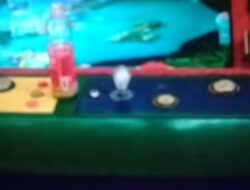 Viral barak narkoba didusun lau gelunggung desa Durin simbelang bebas beroperasi, Kapolrestabes Medan dan Kapolsek pancur batu kerja nya makan tidur