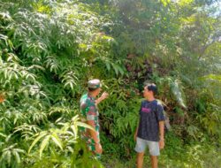 TNI Peduli Bencana, Kopda Ade Irwandi Pengecekan Daerah Rawan Longsor di Desa Durian Rambun