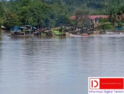 Setelah Libur Lebaran, Kembali Marak Kegiatan PETI Di sepanjang Aliran Sungai Kapuas, Di Dusun Sungai Putat, Kabupaten Sekadau