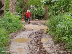 Hasilkan Banyak Hasil Bumi. Jalan Perkebunan Kota Nopan Setia Lansek Kodok Barat Butuh Perhatian