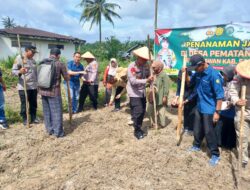 Kapolres Sarolangun Gelar kegiatan Gerakan tanam cepat panen tanaman jagung di Desa Pematang Kolim