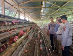 Kapolres Apresiasi Usaha Ayam Pedaging dan Ayam Petelur guna menunjang ketahanan Protein dan pangan.