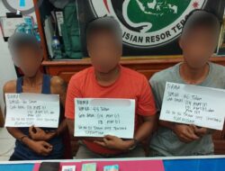 Satresnarkoba Polres Tebo Tangkap Tiga Pengedar Narkoba Di Kebun Sawit, 21 Paket Sabu Diamankan