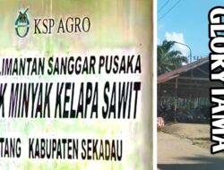 PT. Golrytama Menjadi Sorotan Publik, Diduga Kuat Limbah Sawit Diangkut Tanpa Standar Keamanan Yang Layak