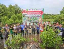 Peduli Lingkungan Pesisir, Danlanal Beserta Prajurit Lanal Bintan Ikuti Acara Penanaman 5.000 Pohon Mangrove