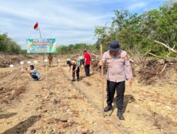 Penanaman  jagung Di Desa Jaya Mulya, Wujud Dukungan Ketahanan Pangan Dan Program Makan Gratis