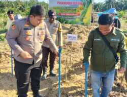Polsek Muara Tabir Gelar Kegiatan Penanaman Jagung  Di Lahan BUMDES Desa Tambun Arang, Dukung Ketahanan Pangan Dan Program Makan Gratis
