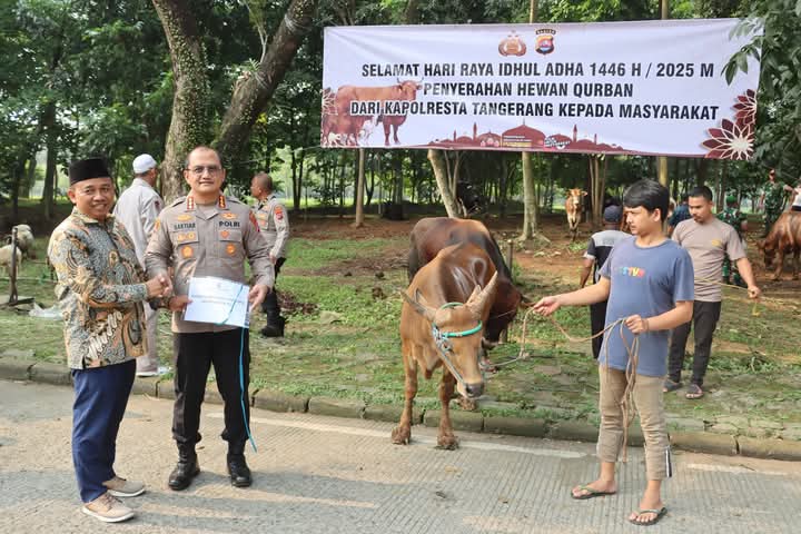Polresta Tangerang Gelar Pendistribusian Hewan Qurban, Wujud Kepedulian Polri Kepada Masyarakat Di Hari Raya Idul Adha 1446 H
