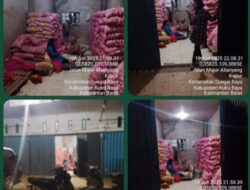 Mafia Bawang Putih Kuasai Kubu Raya: Penyelundupan Terang-Terangan, Aparat Diduga Tutup Mata