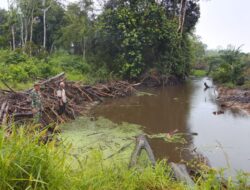 Mengantisipasi Dampak Banjir bila terjadi, Babinsa Koramil 420-04/Sarolangun Sertu Slamet Riyadi melaksanakan pengecekan debit air  Sungai diwilayah Desa Bernai