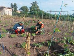 Dorong Ketahanan Pangan dan Ekonomi Desa