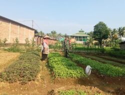 Bantu Petani, Wujud Nyata Dukungan Ketahanan Pangan di Wilayah
