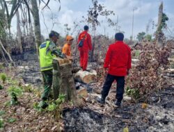Tak Bosan Lakukan Pencegahan Karhutla Babinsa Rutin Laksanakan Patroli Dan Sosialisasi