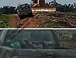 Mobil L300 Plat Merah Suplai BBM Ke Alat Berat, Diduga Bos Alif Konsumsi Solar Ilegal Untuk Proyek Replanting PT. SDK Instansi Terkait di Minta Tindak Tegas