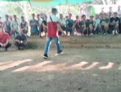 Diduga Ada Arena Sabung Ayam di Sekubang, Warga Resah: Polsek Sepauk Dinilai Lakukan Pembiaran