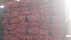 Tim Media Gabungan Ungkap Dugaan Praktik Ilegal di Ruko Dekat Polres Kubu Raya