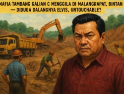 Mafia Tambang Galian C Menggila di Malangrapat, Bintan — Diduga Dalangnya Elvis, Untouchable?