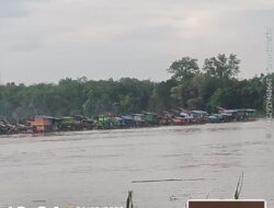 Tambang Ilegal Menggila di Sintang: Sungai Kapuas Rusak, Aparat Dituding Tutup Mata