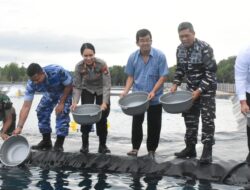 Lanal Bintan Laksanakan Penebaran Benih Udang Vaname Seluas 5 Ha