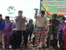 Dukung Swasembada Pangan 2025, Bupati Sarolangun bersama Forkopimda Sarolangun Lakukan Penanaman Jagung Serentak di Singkut