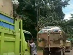 TPA Punggur Kolaps! Truk Sampah Batam Tak Bergerak, Warga Menjerit Bau Menyengat