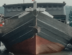 Investigasi: KM Sinjori, Kapal Milik Ahak Diduga Masuk Jaringan Mafia Perdagangan Gelap di Kepri