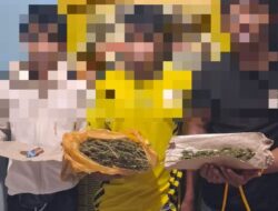 Sat Resnarkoba Polres Aceh Tengah Ungkap Kasus Narkotika Jenis Ganja, Tiga Pelaku Diamankan