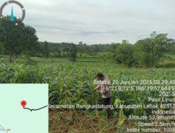 Bhabinkamtibmas Polsek Rangkasbitung Polres Lebak Cek Tanaman Jagung Hybrida di Desa Mekarsari