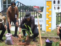 Wariskan Lingkungan Sehat, Merangin Hijaukan Bumi dengan 4.000 Bibit Pohon