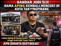 Diduga Bandar Judi Siji, Nama Aping Kembali Mencuat di Kota Tanjungpinang Warga Sebut Lokasi Potong Lembu – Tanjung Unggat Hingga Kedai Kopi “Aman” Batu 9, APH Diminta Bertindak
