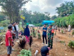 Babinsa Koramil 420-08/Tabir, Koptu Simuslim, Laksanakan Komsos Bersama Masyarakat Desa Sumber Agung, Kecamatan Margo Tabir.