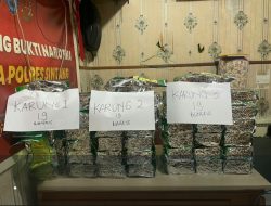 Sabu 3 Karung dari Perbatasan: Kurir Tumbang, Bandar Masih Bayangan