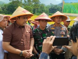 Modal Rp35 Juta Jadi Rp700 Juta, Bupati M. Syukur Dorong Desa Durian Rambun Raih Penghargaan Nasional