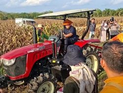 Potensi Panen Capai Rp 1 Milyar, Bupati M. Syukur Yakin Merangin Jadi Lumbung Pangan Jambi