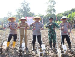 Dukung Ketahanan Pangan, Polda Banten Laksanakan Penanaman Jagung Kuartal II