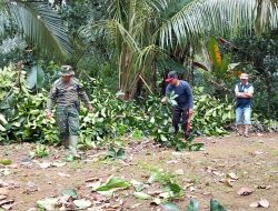 Babinsa Koramil 420-09/Bangko bersama warga bergotong royong