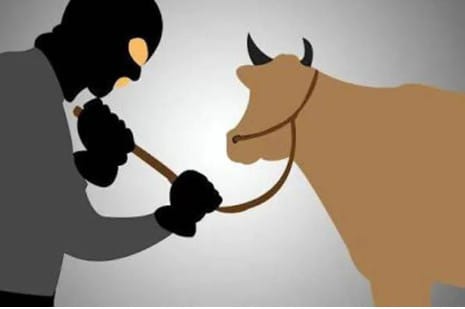 Oknum Kades Cenrana Baru Maros Dilaporkan ke Polisi, Diduga Terbitkan Surat Jalan untuk 4 Sapi Curian, LSM KIPFA Minta Ditindak Tegas