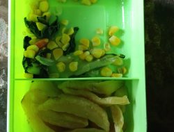 Skandal MBG di desa Sumberjo Lampung Timur di nilai kurang memenuhi SOP layak nya seperti program Badan gizi Nasional