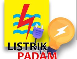 Listrik Jakarta Berulangkali Padam, IWO: Dirut PLN Tak Kenal Budaya Mundur, Harus Dicopot dan Diperiksa.