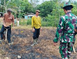 Cuaca Terik Tak Surutkan Anggota Satgas TMMD Ke-128 Kodim 0420/Sarko Wujudkan Lahan Ketahanan Pangan